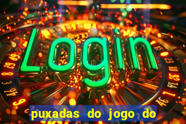 puxadas do jogo do bicho sueli